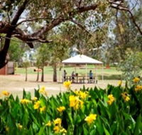 Charleville - Graham Andrews Parklands - Tourism Cairns
