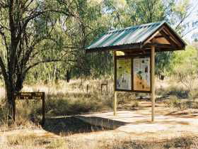  Tourism Cairns