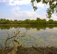 Yurmikmik Walks - Tourism Cairns