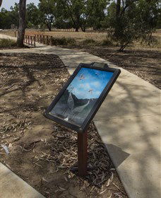 Wallam Creek, Bollon - Tourism Cairns 1