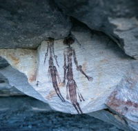 Gyorn Gyorn Bradshaw Paintings - Tourism Cairns