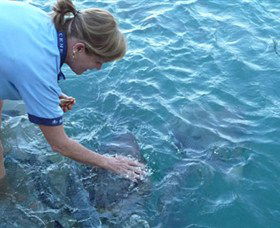 Aquascene - Tourism Cairns 2