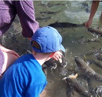 Aquascene - Tourism Cairns