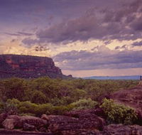 Nature's Way - Tourism Cairns