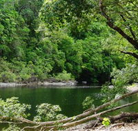 Broadwater Abergowrie State Forest - Tourism Cairns