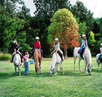 Limestone Coast Horseriding - Tourism Cairns