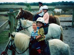 Limestone Coast Horseriding - Tourism Cairns 1