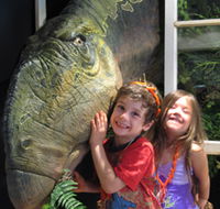 Australian Opal Centre - Tourism Cairns