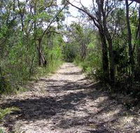 Lanky's Walk - Tourism Cairns