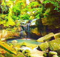 Carnarvon Gorge Carnarvon National Park - Tourism Cairns
