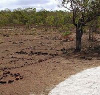 Wurrwurrwuy Garanhan Macassan Beach Interpretive Walk - Tourism Cairns