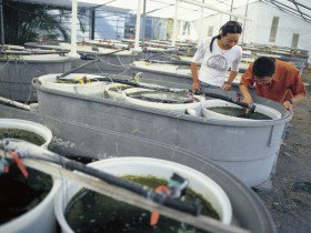 James Cook University Of North Queensland - Tourism Cairns 0