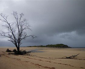 Dhamitjinya (East Woody Island) And Galaru (East Woody Beach) - Tourism Cairns 3