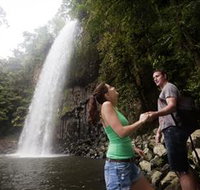 Millaa Millaa Falls - Tourism Cairns