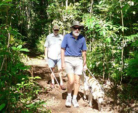 Wongabel State Forest - Tourism Cairns 0