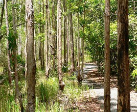 Hallorans Hill Conservation Park - Tourism Cairns 0