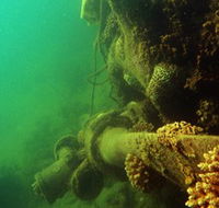 Wreck Diving at Magnetic Island - Tourism Cairns