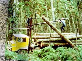 Nangwarry Forestry And Logging Museum - Tourism Cairns 3