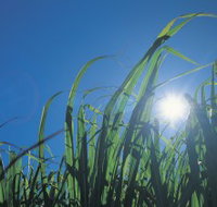 Australian Sugar Industry Museum - Tourism Cairns