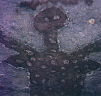 Quinkan Reserves Ancient Rock Art - Tourism Cairns
