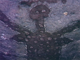 Quinkan Reserves Ancient Rock Art - Tourism Cairns 0