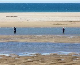 Alva Beach - Tourism Cairns 0