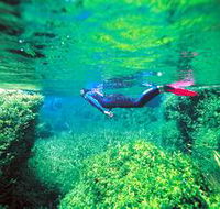 Piccaninnie Ponds Conservation Park - Tourism Cairns