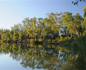 IWaterSki - Tourism Cairns 0