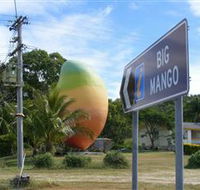 Big Mango - Tourism Cairns