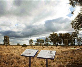 Backroads Trail - Tourism Cairns 2