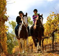 Billabong Ranch - Tourism Cairns