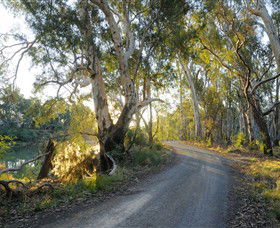 Alton Gallery - Echuca Moama Artists - Tourism Cairns 0