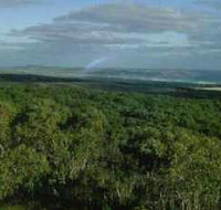 Mount Richmond National Park - Tourism Cairns