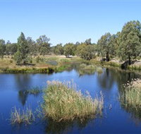 Narrandera Wetlands - Tourism Cairns