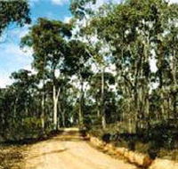 Paddys Ranges State Park - Tourism Cairns