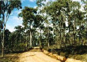 Paddys Ranges State Park - Tourism Cairns 0