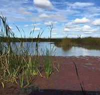 Gwydir Wetlands - Tourism Cairns