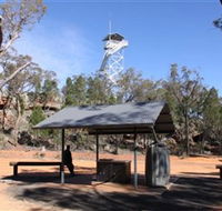 Pilliga Forest Lookout Tower - Tourism Cairns