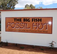 Big Fish Fossil Hut at Peak Hill - Tourism Cairns