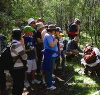 Warrumbungle National Park Discovery Program - Tourism Cairns