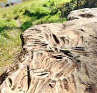 Terramungamine Rock Grooves - Tourism Cairns