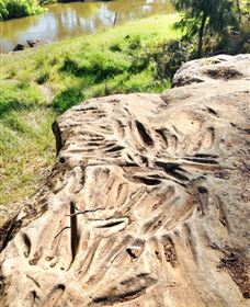 Terramungamine Rock Grooves - Tourism Cairns 0