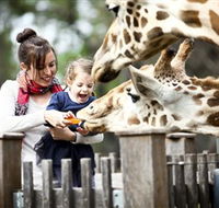 Taronga Western Plains Zoo Dubbo - Tourism Cairns