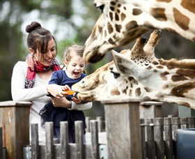 Taronga Western Plains Zoo, Dubbo - Tourism Cairns 0