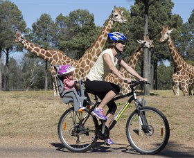 Taronga Western Plains Zoo, Dubbo - Tourism Cairns 2
