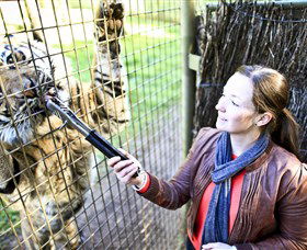 Taronga Western Plains Zoo, Dubbo - Tourism Cairns 3