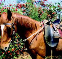 Western Plains Riding Centre - Tourism Cairns