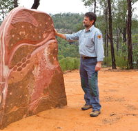 Sculptures in the Scrub walking track - Tourism Cairns