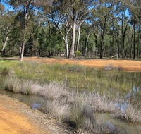 Beni State Conservation Area - Tourism Cairns