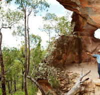 Pilliga National Park - Tourism Cairns